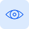 Company Info Vision Icon